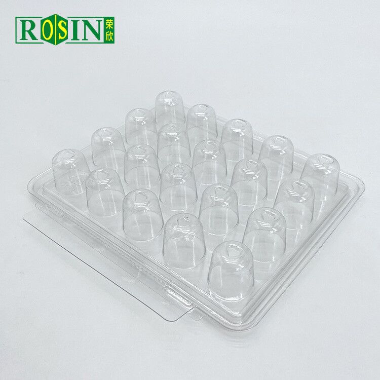 Clear pet Chocolate Cavity Tray