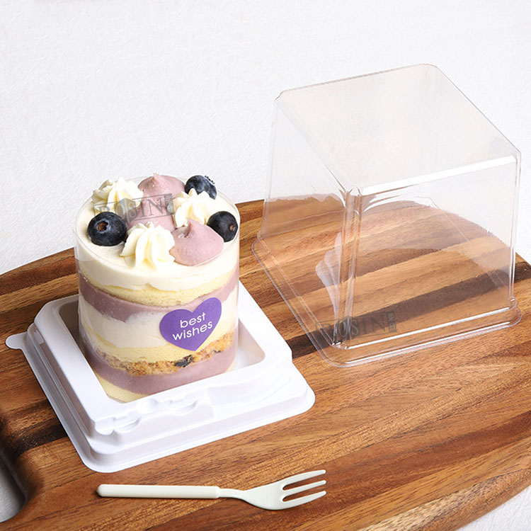 plastic cake container with fork