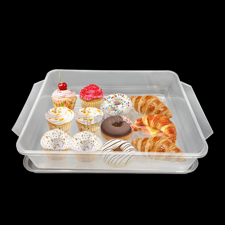 Cake Box with Handle