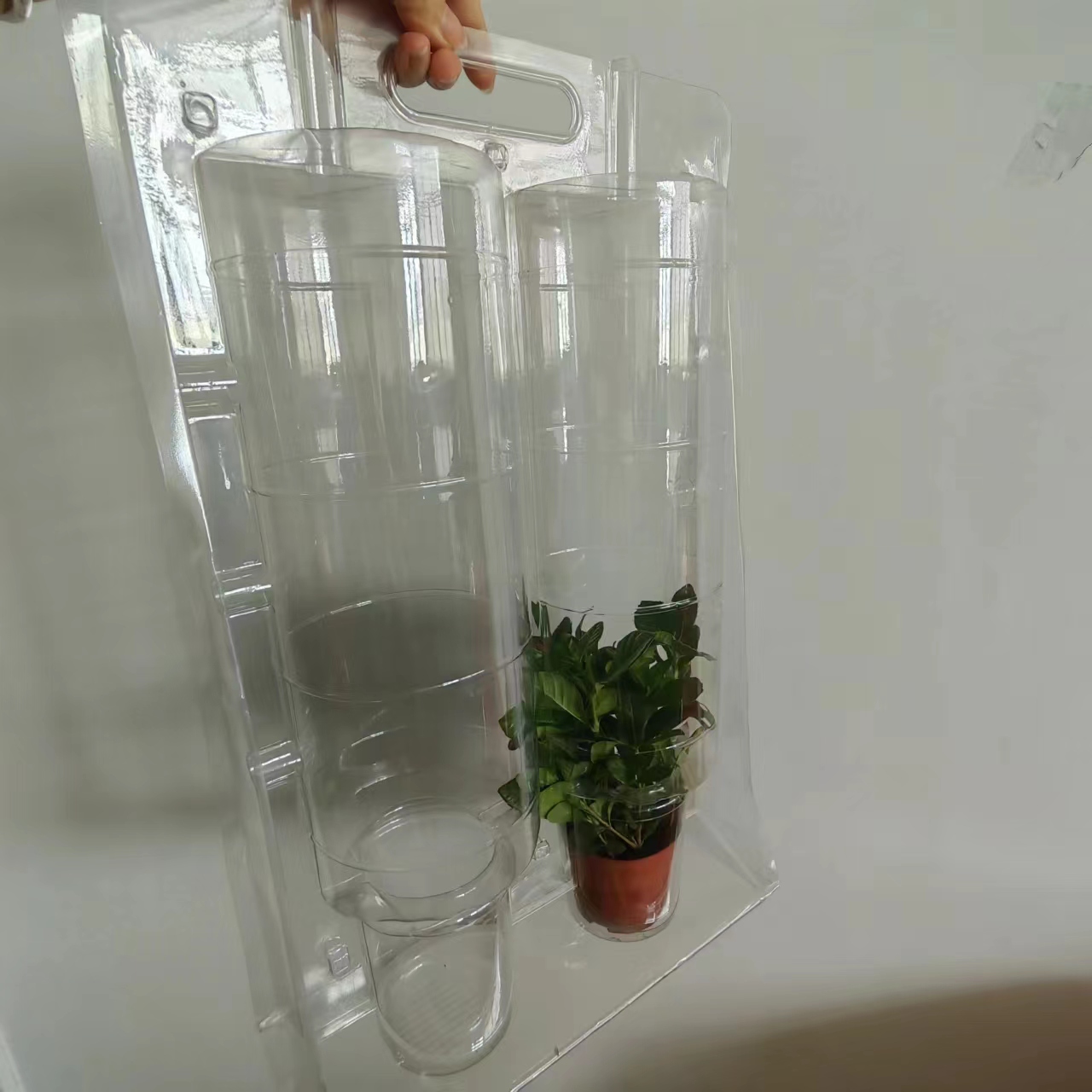 Disposable transparant packaging pot plants