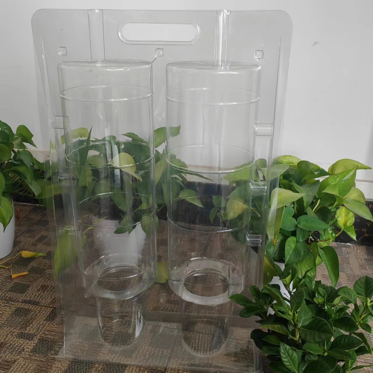 plastic blister packaging for plants