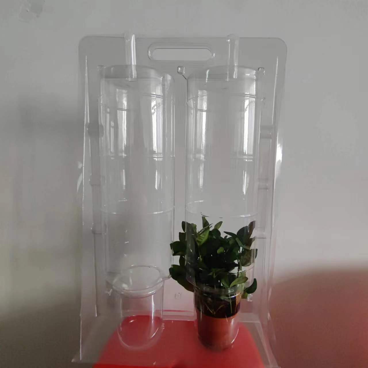 clamshell packaging for plant with handle