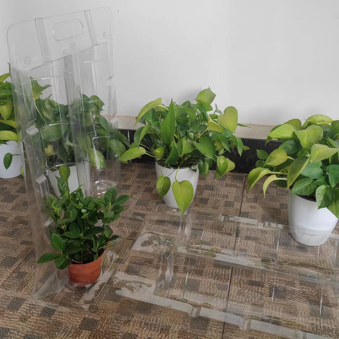 packaging for plants