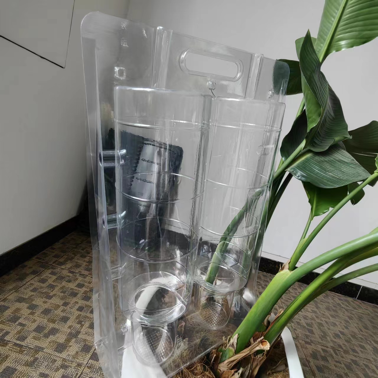 plant packaging with handle hole for plants