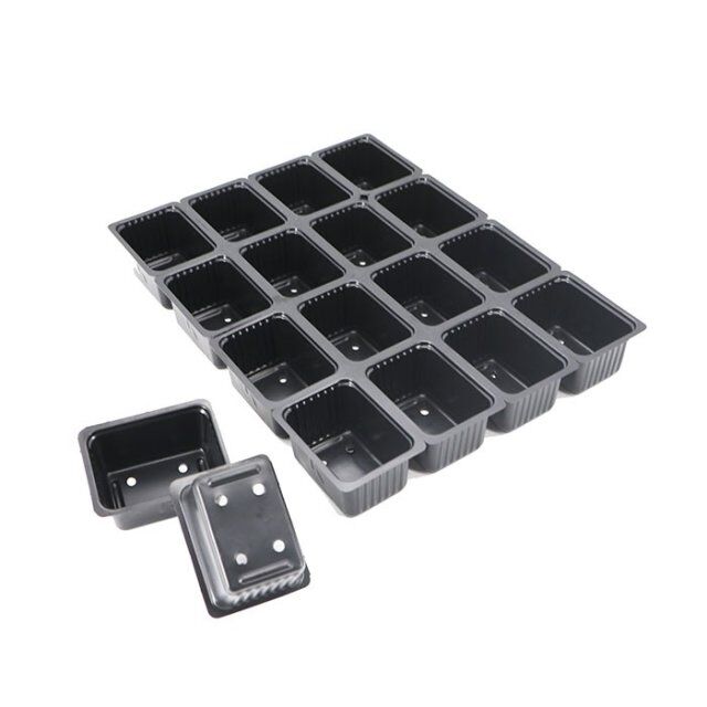 seed planter tray with Holes
