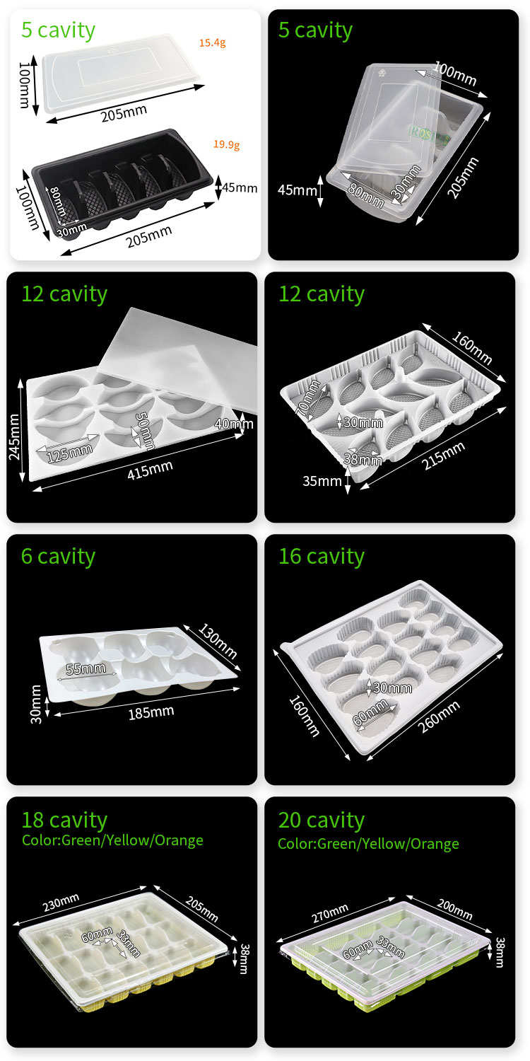 Disposable PP Dumpling Tray