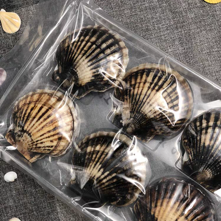 6 cavity scallop clamshell packaging