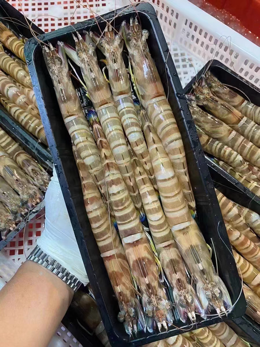 8 cavity clear scallop clamshell packaging