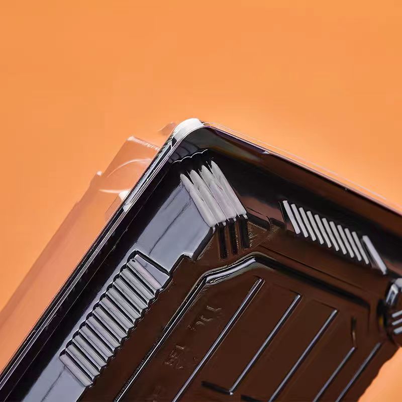 disposable Sushi Plastic Box