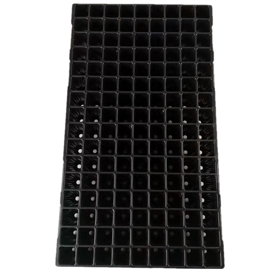 seeding plug tray 144 cell seedling tray  seedling starter tray