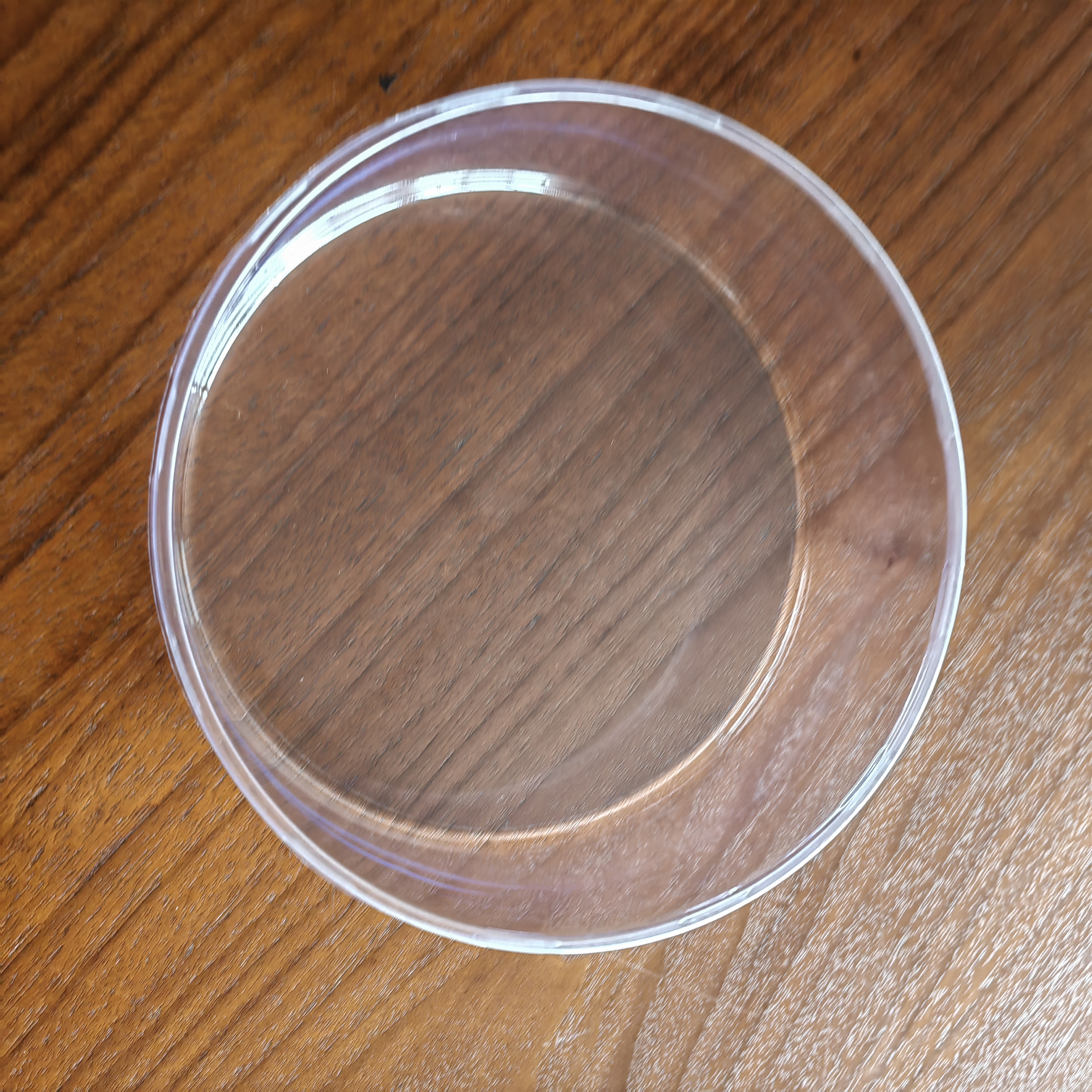 clear plastic round cake box container with dome lid