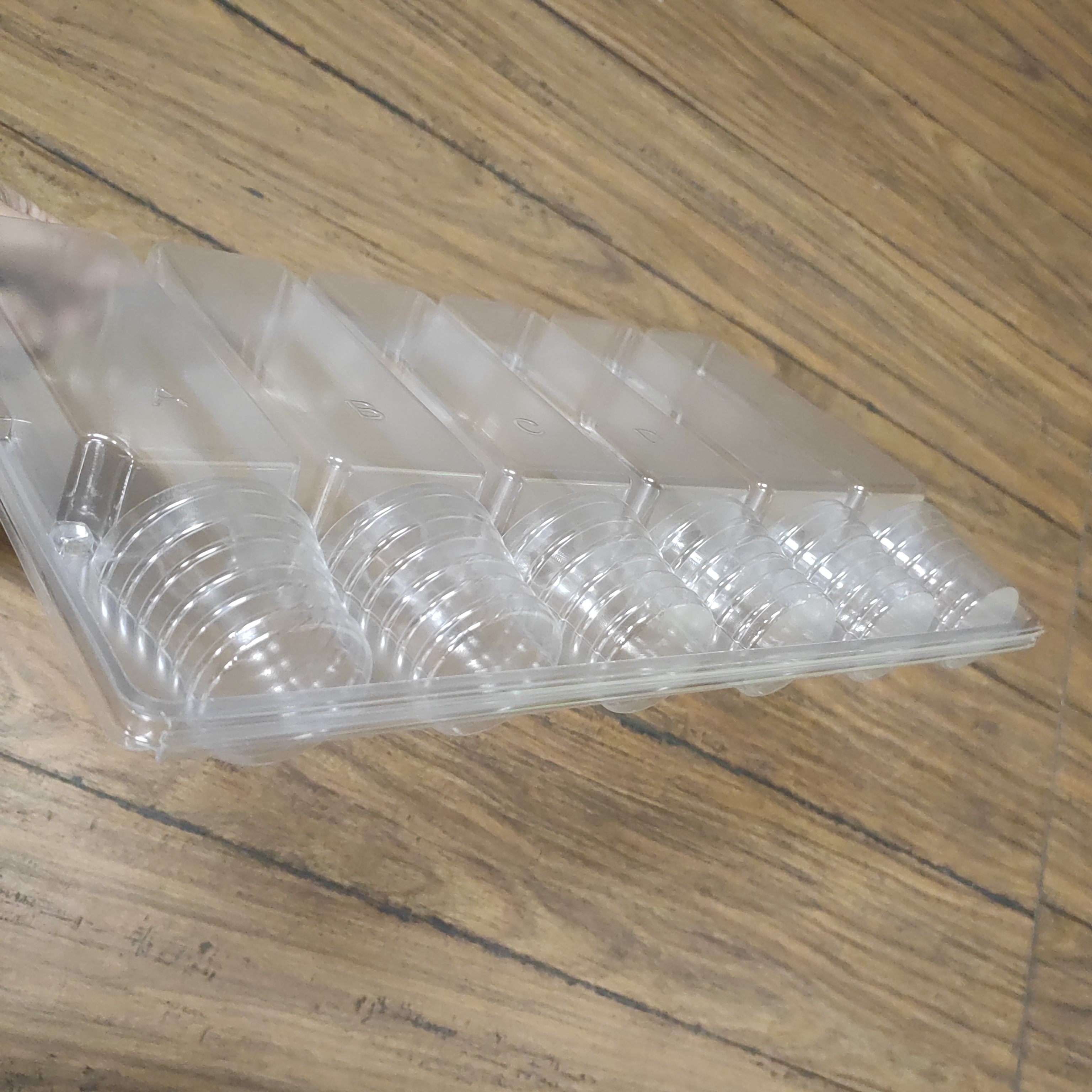 Succulent shipping packaging