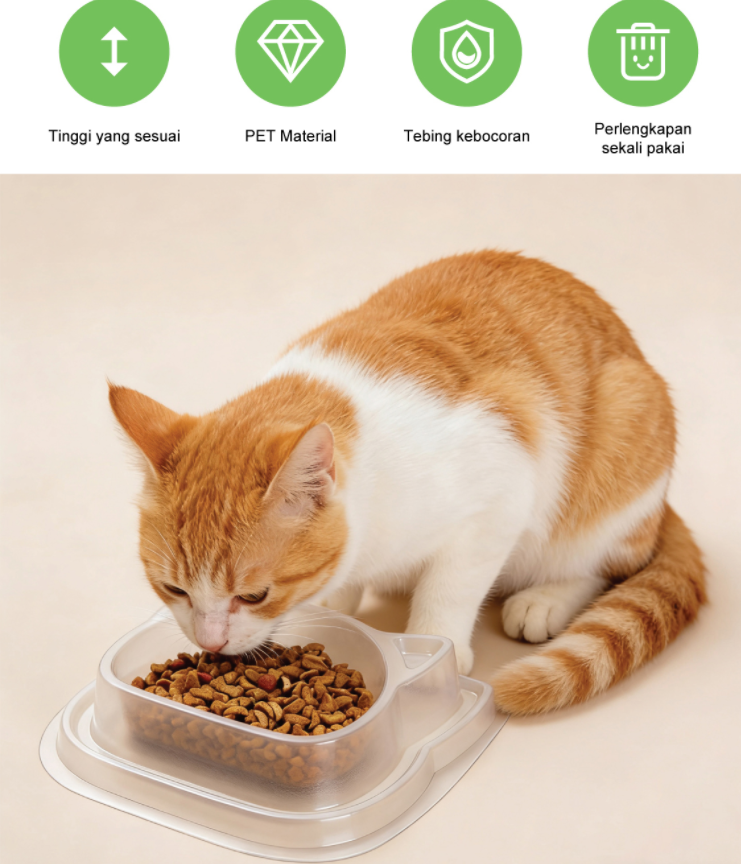 Disposable outdoor cat bowl