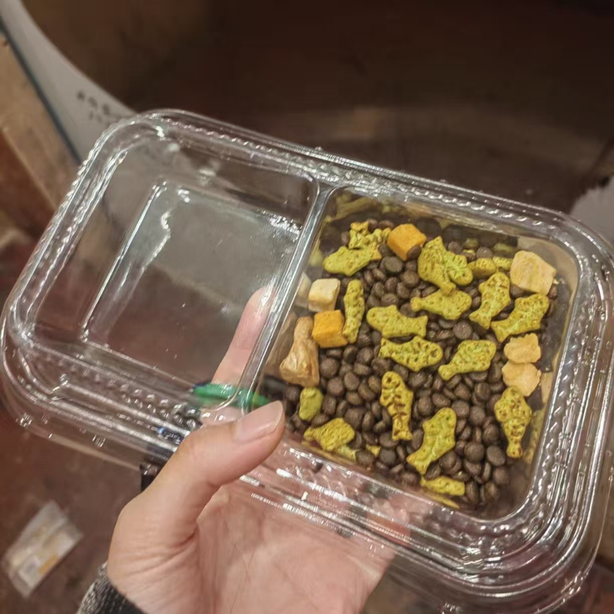 2-in-1 food and water bowl