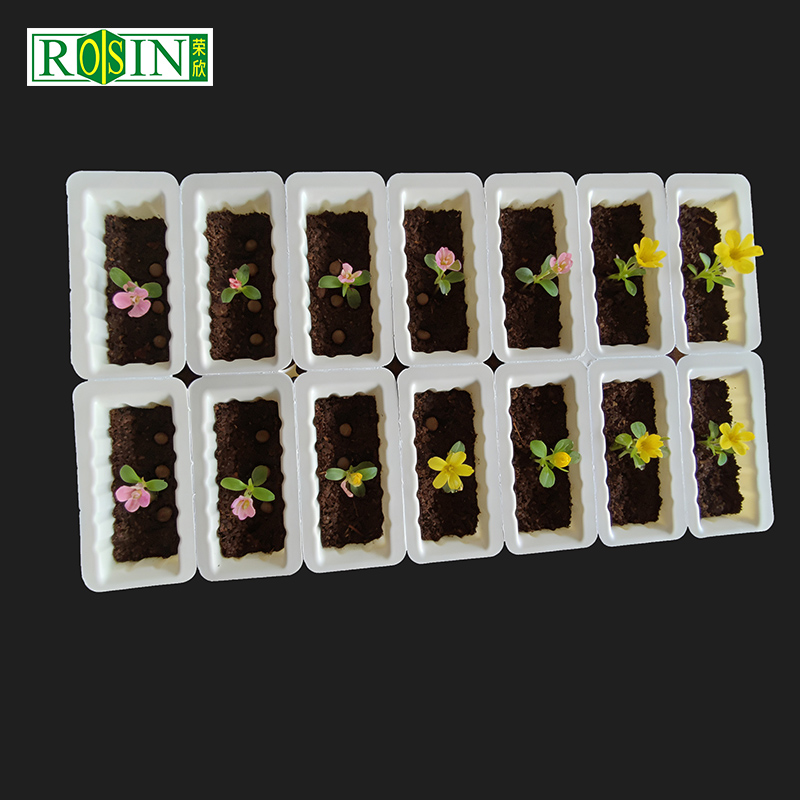 Breathable drainage seedling tray