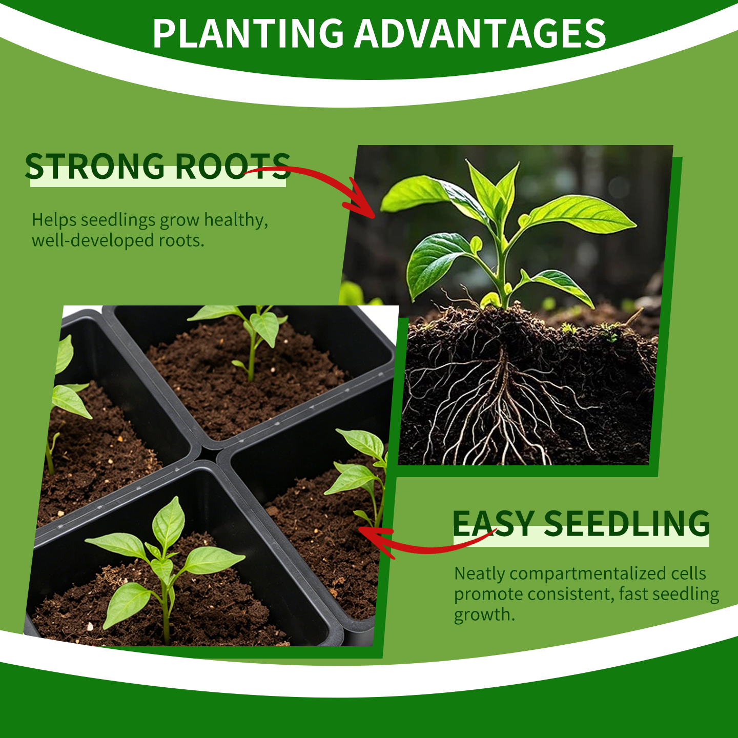 greenhouse micro seedling cultivation tray