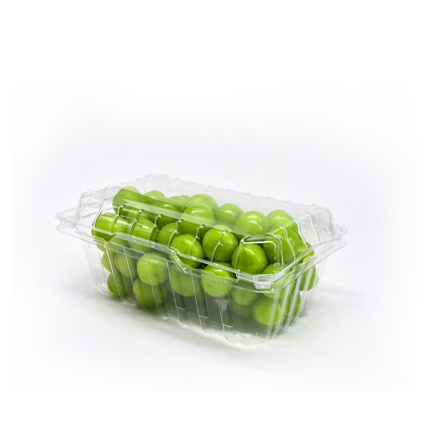 grape packaging containers
