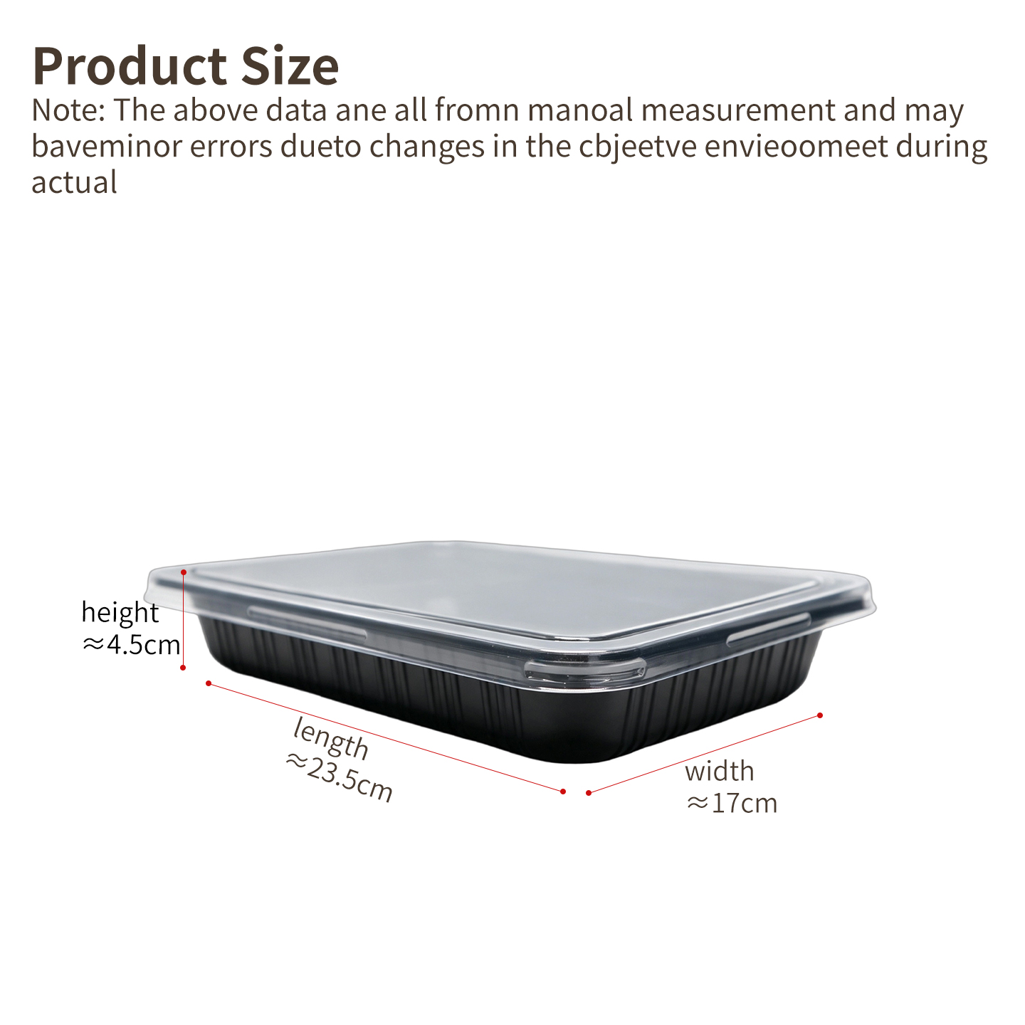 large single compartment bento container