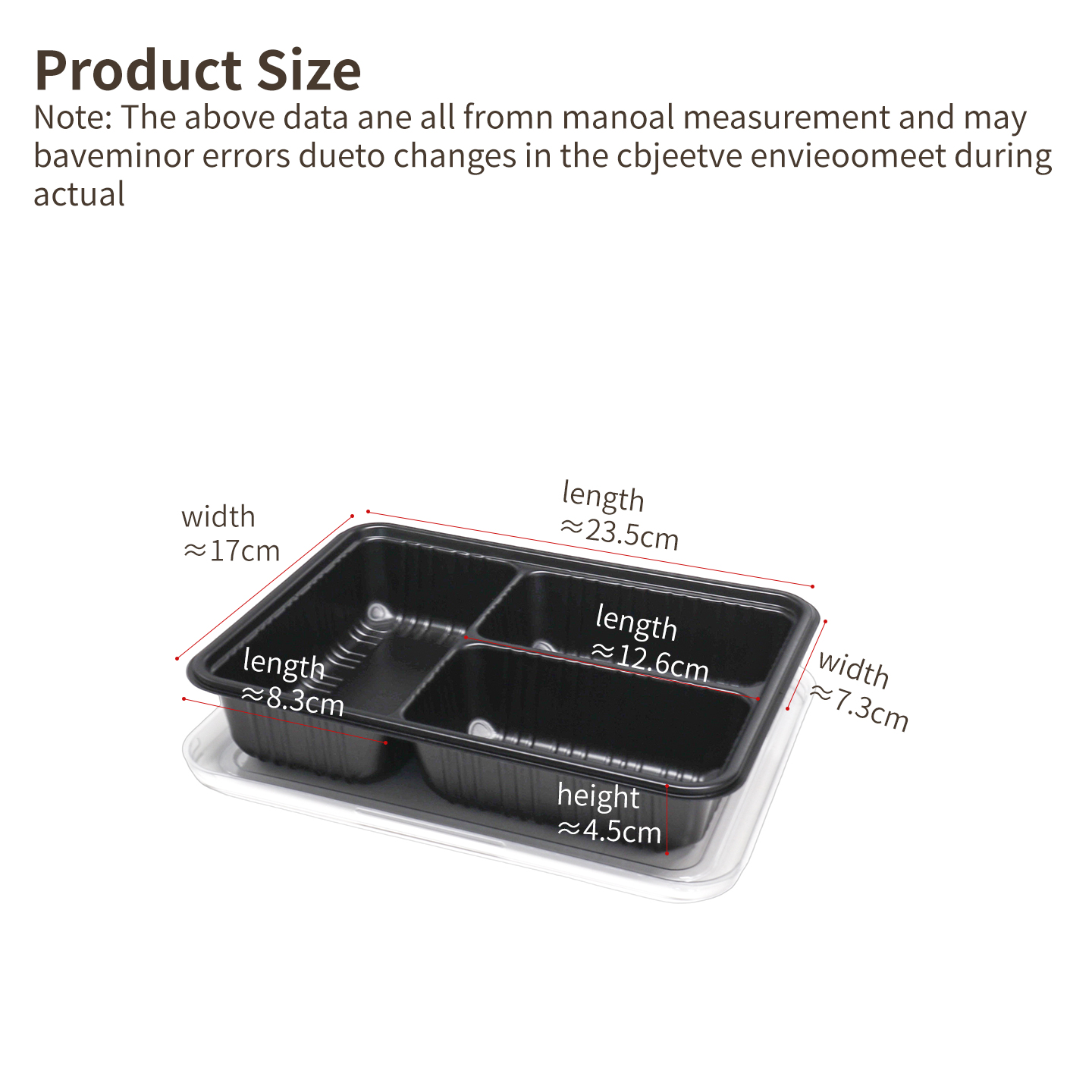large single compartment bento container