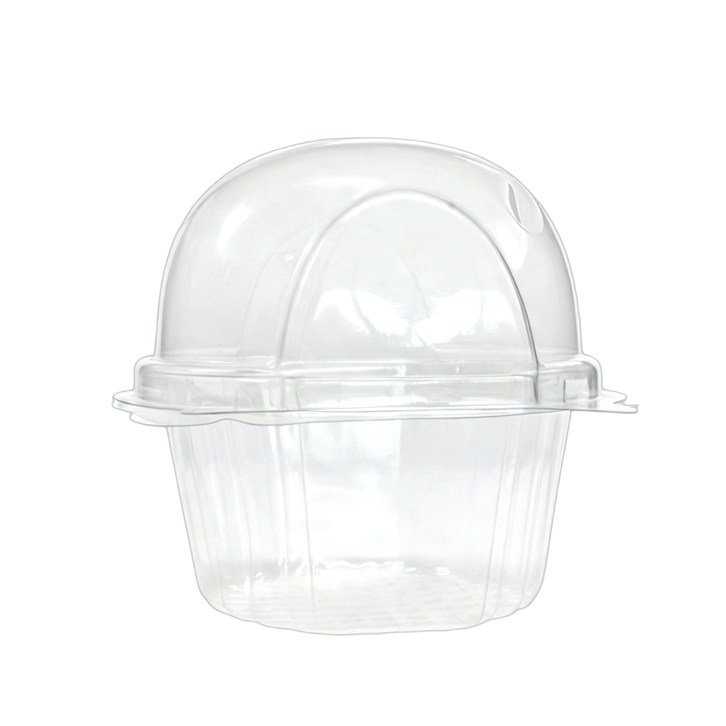 cake dome plastic container
