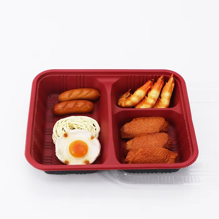 large single compartment bento container
