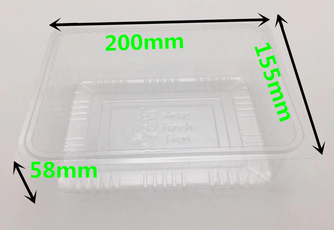 tamper-evident food container
