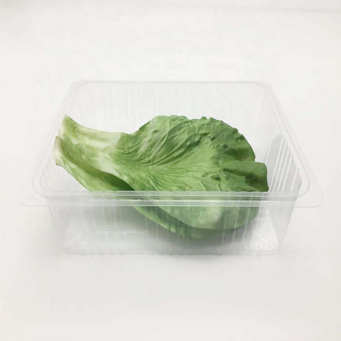 Kumquat clamshell container