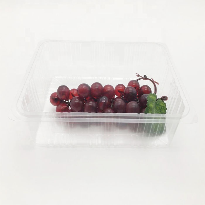 Kumquat vacuum formed box