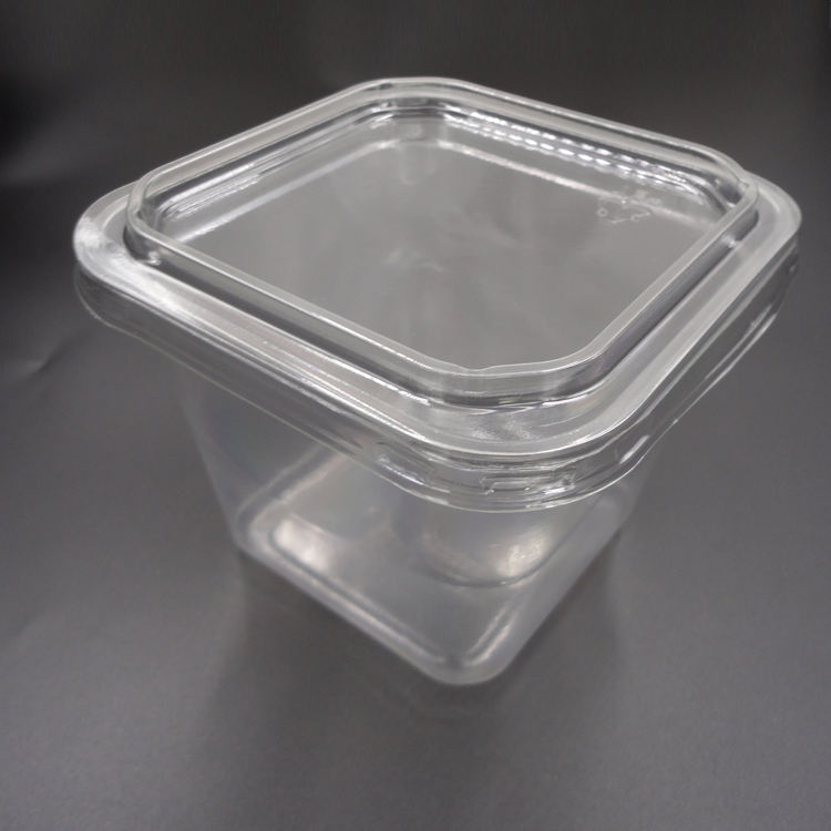 thermoformed bakery container manufacturer