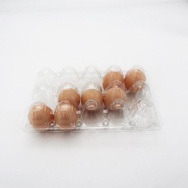 15 hole egg tray