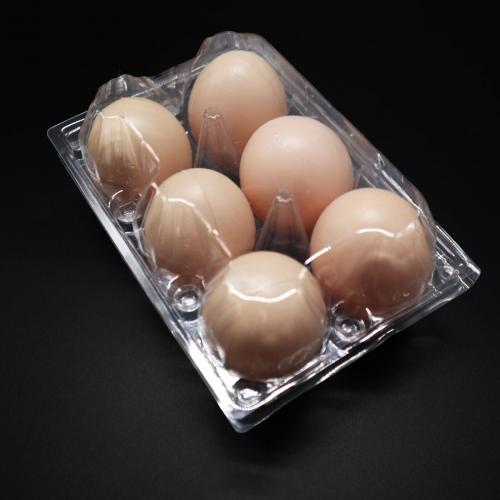 6 Holes Transparent Disposable Egg Tray With Lid