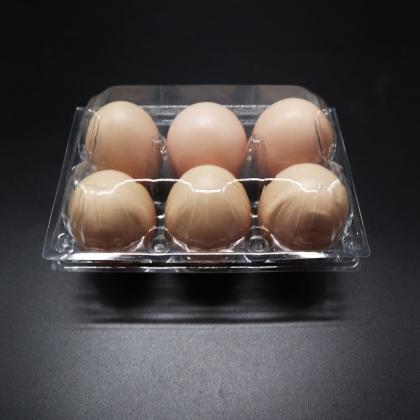 6 Holes egg tray