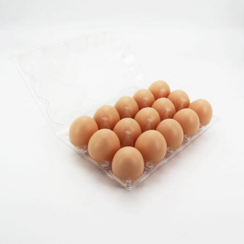 15 hole egg tray