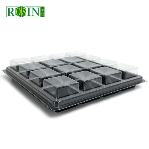 Plastic Blister Different Cavity Inserts Chocolate Pack Tray