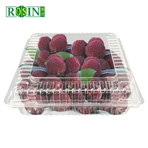 Vegetable And Fruit Transparent Plastic Container with Lid