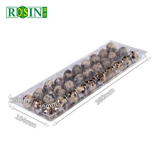 30 Plastic Quail Egg Tray Packaging