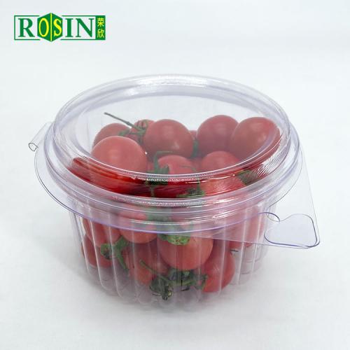 Fruit Salad Container