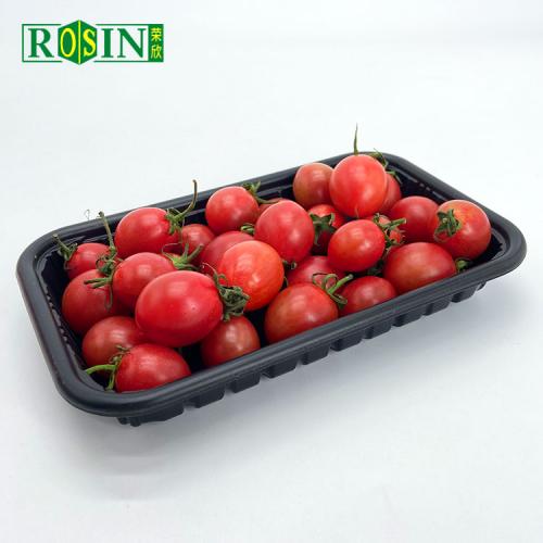 Plastic Food Tray