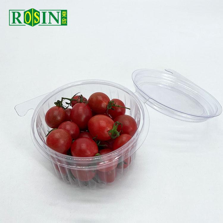 Fruit Salad Container