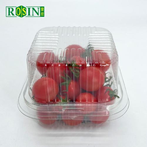 Hinged Plastic Clear Fruit Salad Packaging Container