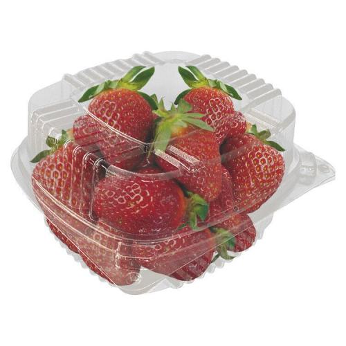 Plastic Fruit Container