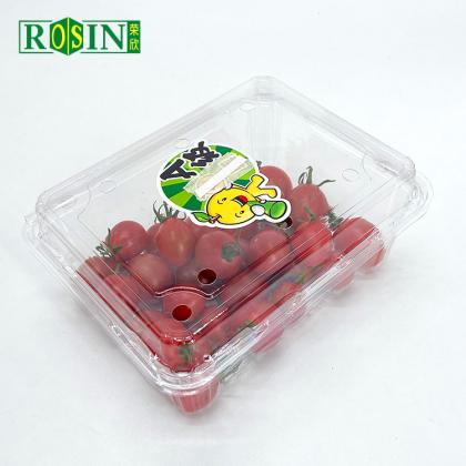 Plastic Fruit Container