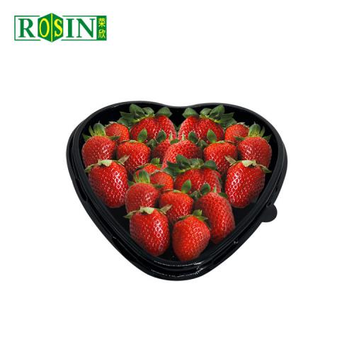 Clear Plastic Fresh Fruit Container Strawberry Packaging