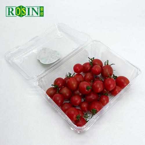 Disposable Fruit Salad Vegetable Plastic Container Box