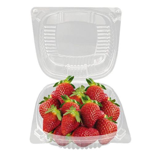 PET Disposable Plastic Clear Fruit Packaging Container
