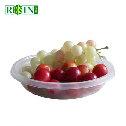 Plastic Fruit Container