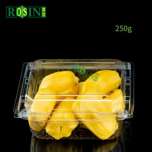 Hinged Disposable Clear Plastic Fruit Punnets Salad Box Container