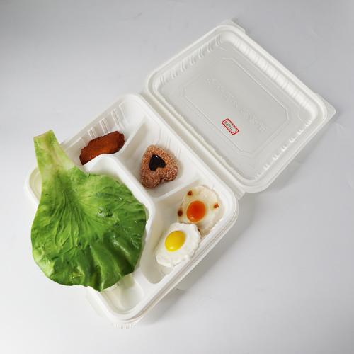 Biodegradable Lunch Container