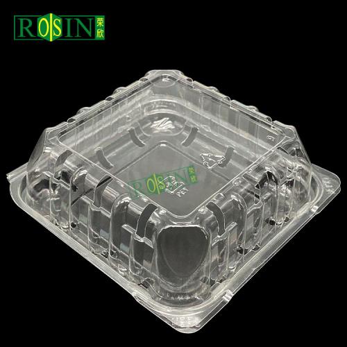 customizable 125g blueberry blister pet food box retangular plastic clamshell clear fruit plastic box with hole