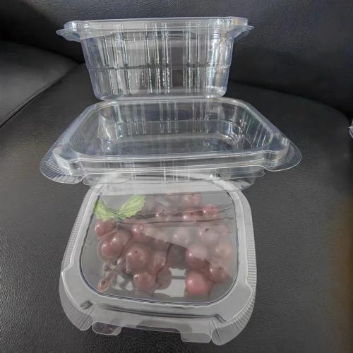 Plastic Trays